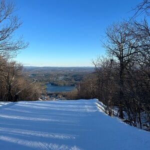 Meet your Posher, Izzy